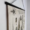 Grand poster Morphologie d’une ecrevisse – Image 12