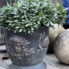 Cache pot en bronze – Image 12